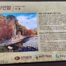 사인암주차장 이미지