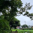 공동정호 이미지