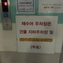 채수어