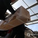 세남매
