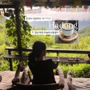 하늘과호수사이민박 | 한국의 치앙마이, 바람 따라 쉬어가기 좋은 절경 [하동 하늘호수차밭쉼터] | 하동여행코스, 경남가볼만한곳