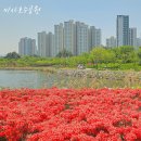 호수공원 2주차장옆 | 미사호수공원 주차장 튤립 산책 코스