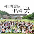 [꽃동네 설립 50주년 기념] 시들지 않는 사랑의 꽃 이미지