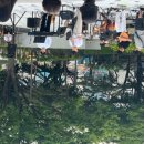 들샘공원