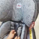 메르디안세탁 이미지