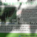 사패산↔도봉산(등산) 이미지