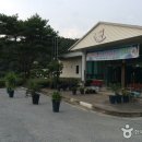 [강원도 횡성군] 솔밭체육공원오토캠핑장