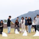 꼬똥사파이어 이미지