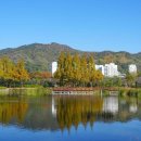 금관대로1368번길 이미지