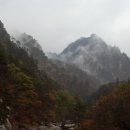 일박이일 B 이미지