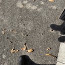 비비드블룸 | 어바웃타임 같았던 야외웨딩홀 하객 후기. 기장 그레이스k 비비드블룸(+가는 방법)