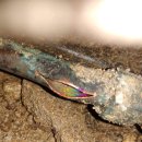 금호목욕탕 이미지