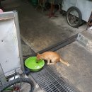 왓포샵 이미지
