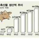 혜선농장 Daum카페
