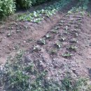 봄과가을이 이미지