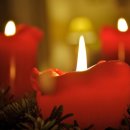 대림초등학교 이미지