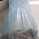 주경야덕 | 강원도더덕 / 6년근더덕 후기 / 더덕의 효능