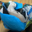 제일송어산장 이미지