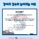 위례S동물의료센터 | 강아지 간수치 높아지는 이유[위례/북위례/감일지구/거여동/하남/마천동 동물병원 위례s동물의료센터]