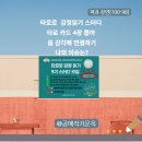 백산바이오 | 타로로 감정읽기 스터디 카드 4장 몸 감각에 연결