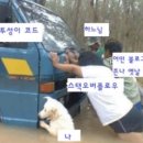 파파코딩