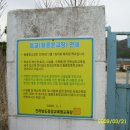 황룡초등학교 Daum카페