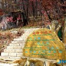 윤명도 뉴시스