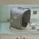 이쁘냥 고양이 미용실 이미지