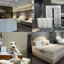 셀럽퍼피 | 시몬스 매트리스보러 블랙프라이데이에 시몬스 논현점 다녀온 후기