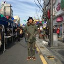 알라스카&알파 네이버블로그