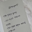 비체싸인 네이버블로그