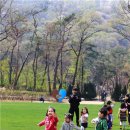 복합환경생태공원 3 이미지