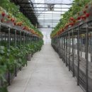 영일농장 이미지