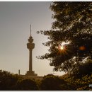 대구관광정보센터 이미지