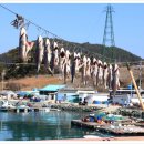 순천대물낚시 이미지