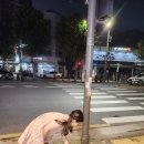 홍제자전거주차장 | [홍제] 포메라니안 홍제천 여름 애견 산책 시간