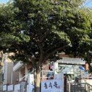 제주월드컵경기장(1층) | 제주 | 제주월드컵경기장 근처, 찐도민 맛집 돈수육 후기 🐷 내돈내산