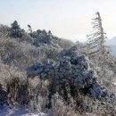 강산 - 성남시 분당구 판교로 442 | 강산