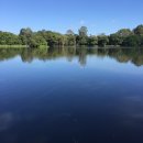 아재로드 이미지