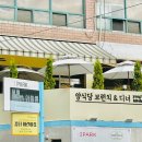 한라식당 | [양식당 브런치] 분위기 좋고 맛은 더 좋은 은평구 브런치 맛집