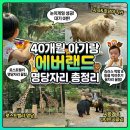 (주)에버워터 | 40개월 아기랑 에버랜드 후기｜평일 눈치게임 성공! 로스트밸리·사파리·나이트사파리 꿀팁 총정리