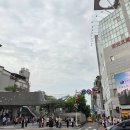 덮밥왕58 | 5일 여행 5일차 : 동파육 맛집 왕스브로스, 타이베이 메인스테이션 가챠 쇼핑, 리얼58%, 딘다이펑 남서점