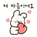 플레이앤케어