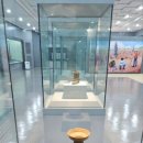 충남대학교 박물관 이미지