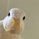 메인호텔 이미지