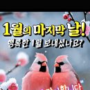 1월의 마지막 날 웃음꽃 활짝 피어나는 2월되세요 이미지