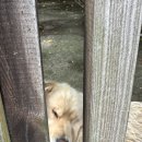 토성목장 이미지