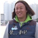 지구별고양이