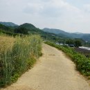 상전면행정복지센터 이미지