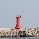 송정유료낚시터 이미지